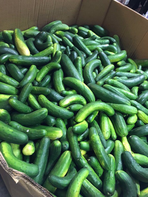 Cukes_Brussels_Sprouts_Feedmore