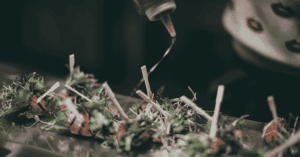 Event Management Software