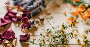 levate Your Spring Menus with TPP Catering Software